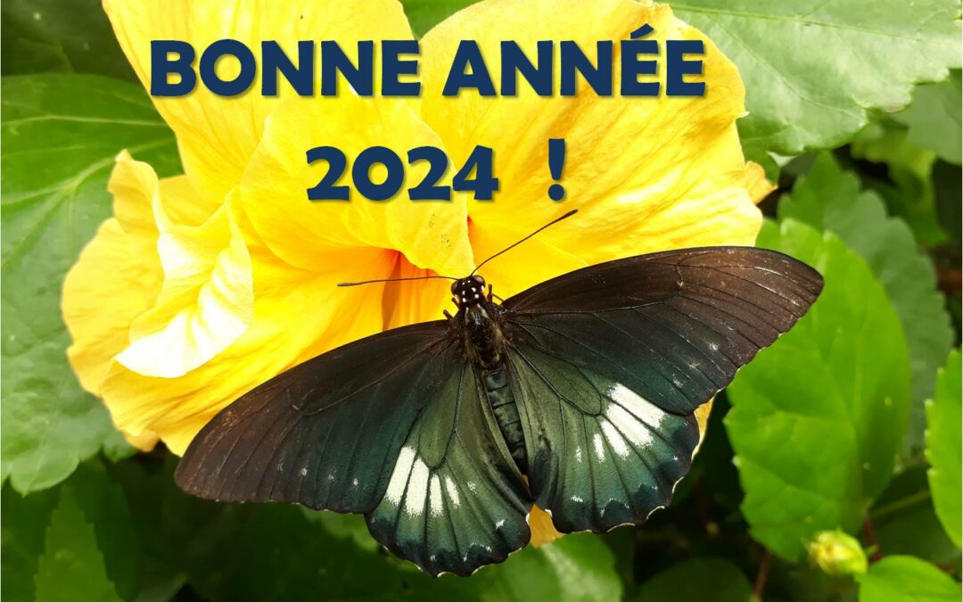 Bonne année 2024 !