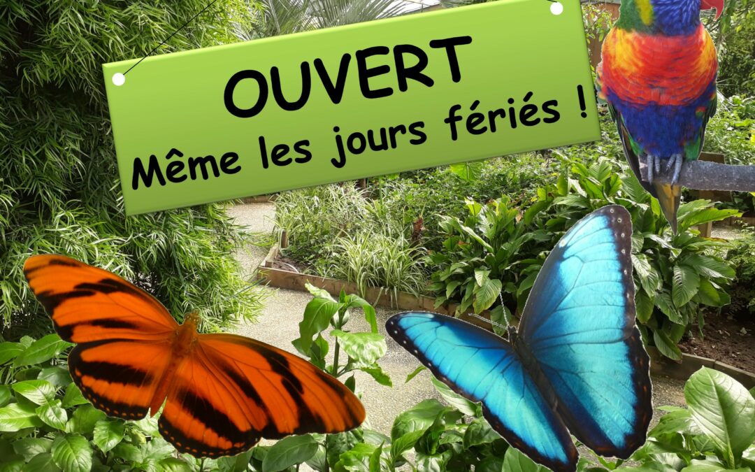 OUVERT les 8 et 9 mai